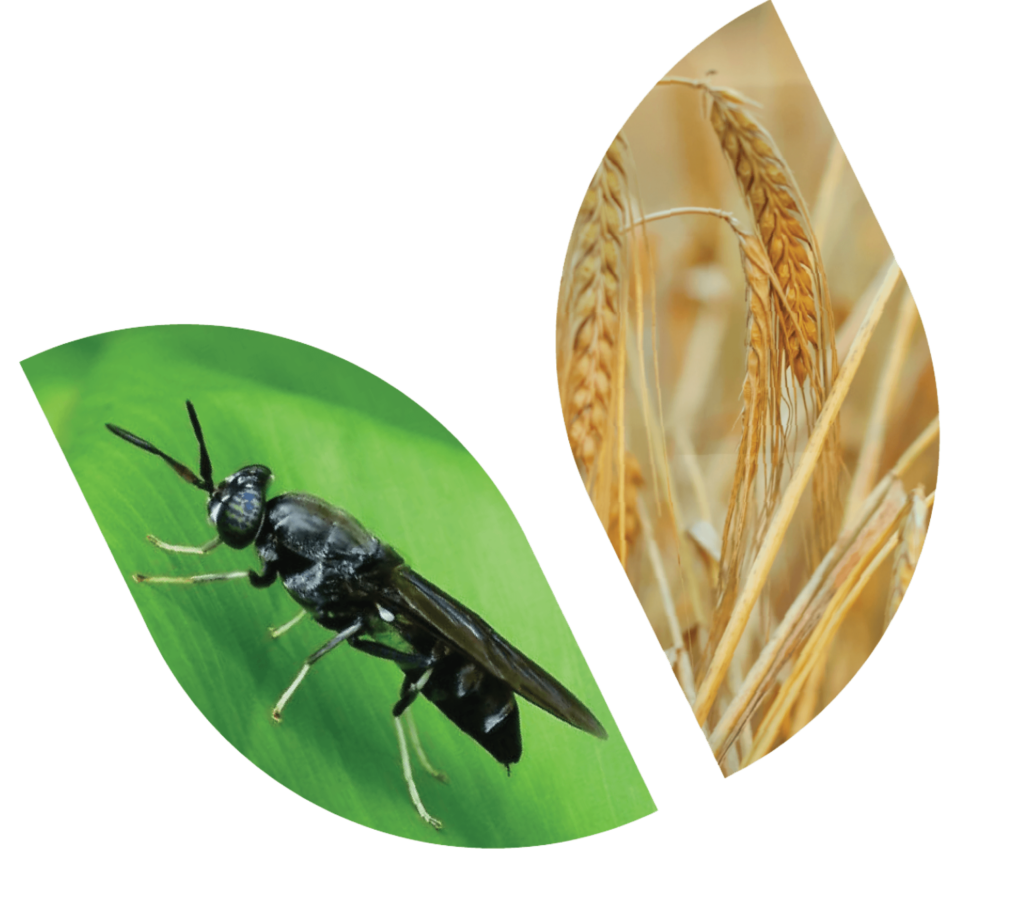 Screen-Shot-2565-05-03-at-00.49 1